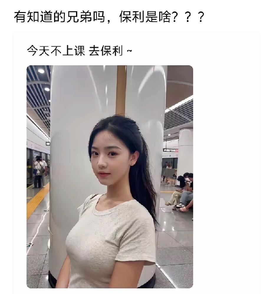 保利主要做哪些业务？