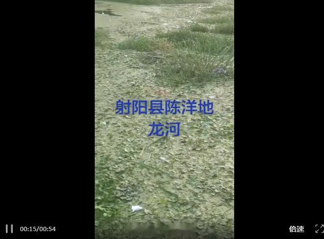【盐城一河道水草泛滥，年年投入大量资金治理被指“拿钱不干活”，希望引起重视】射阳