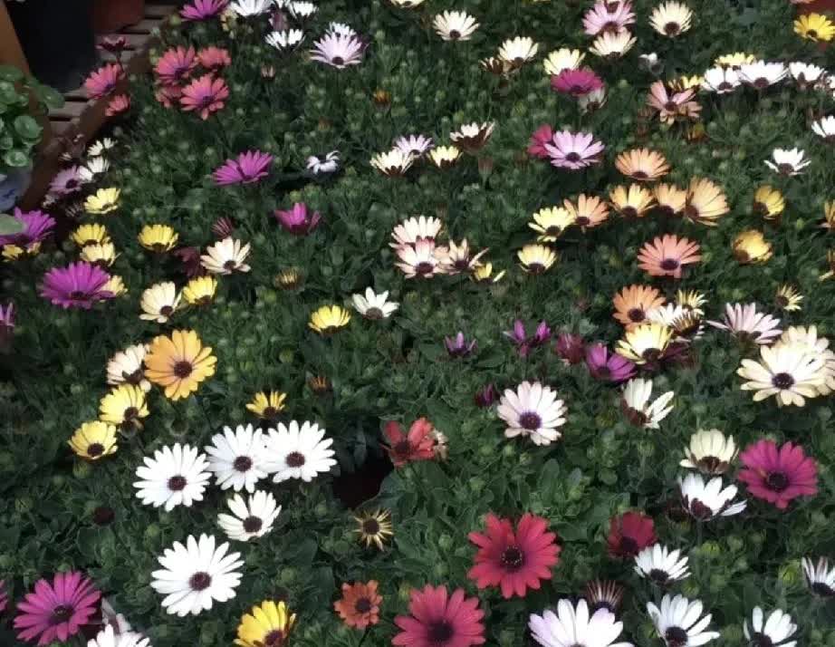 这种话不该说的一个同事经常说，自己的人生太圆满，也太完美，挣的多，身体好，有