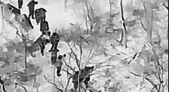 “俄公布红军城乌军人投降画面”，按照描述，是前几天机降到波克罗夫斯克的乌克兰军情