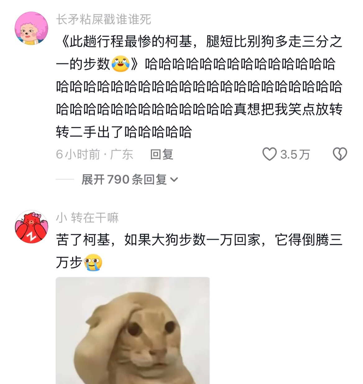 呜呜呜这才是真正的汪汪队