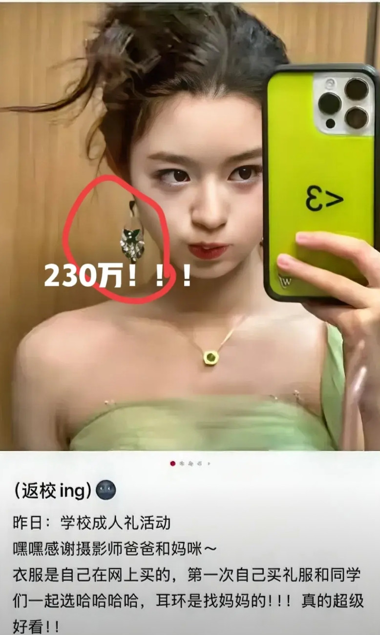 230万耳环“炸雷”！本想晒奢华耳环秀风光，却把前公务员老爸“晒”进调查局！背后