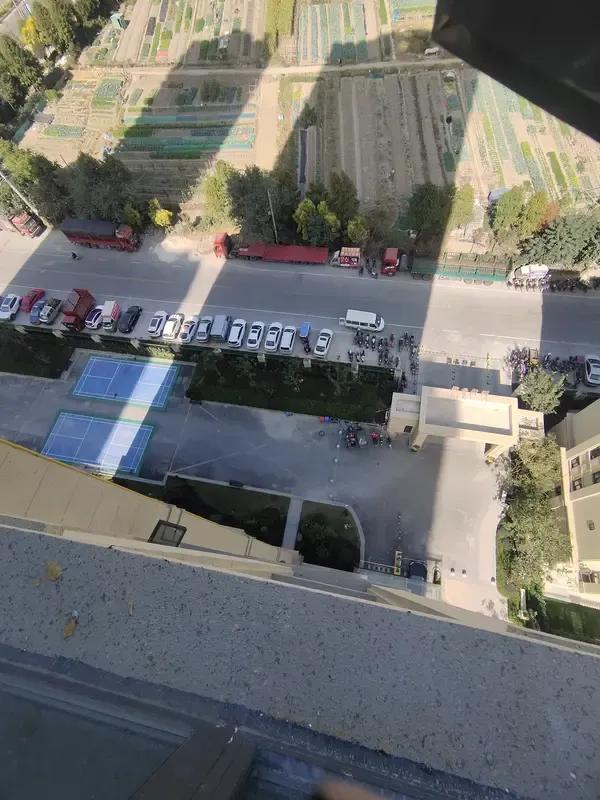 女人刚搬进新房，就震惊地发现自己养了5年的锦鲤居然全都翻肚死亡。她二话不说放下手