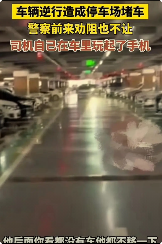 太嚣张了！湖北武汉，奥迪车司机逆行，造成停车场堵车！民警接到报案后来劝阻，可奥迪