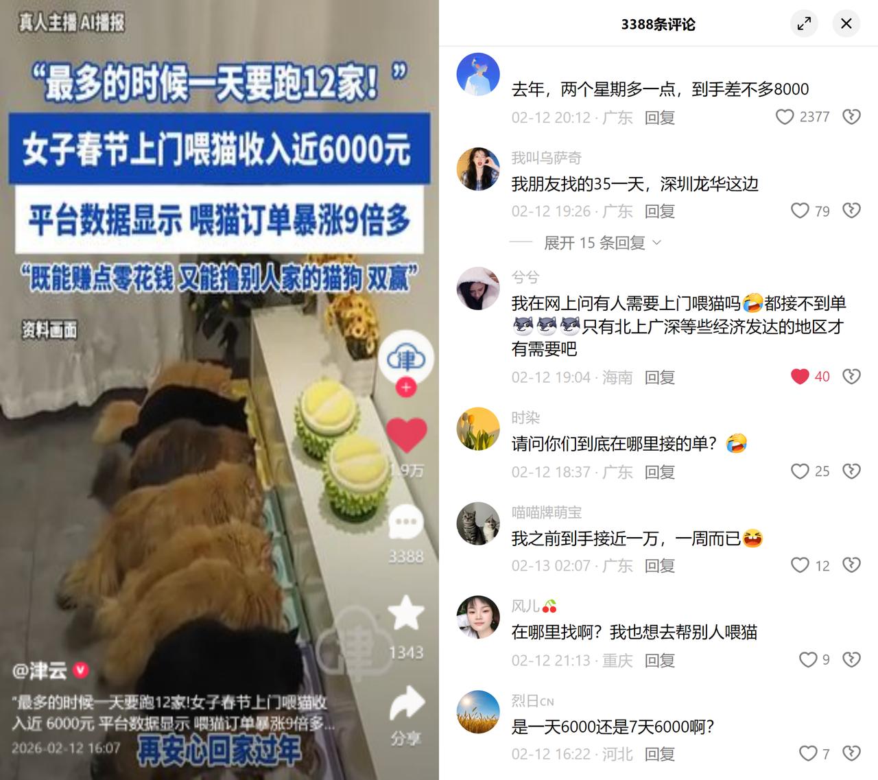喂猫赚6000？留言里吵翻了刚看到报道，一女子春节靠上门喂猫，12天赚了