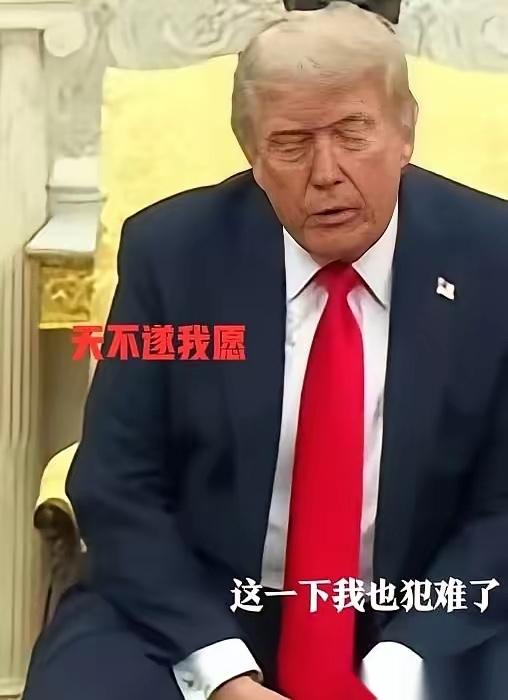 绝了！一句“中国人民太强大”，道破了最硬核的真相一句“中国人民太强大，我无能