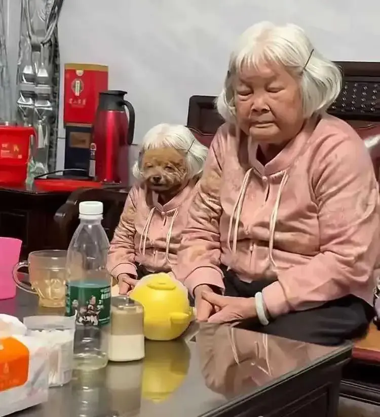 真的应了那句话：谁带的像谁