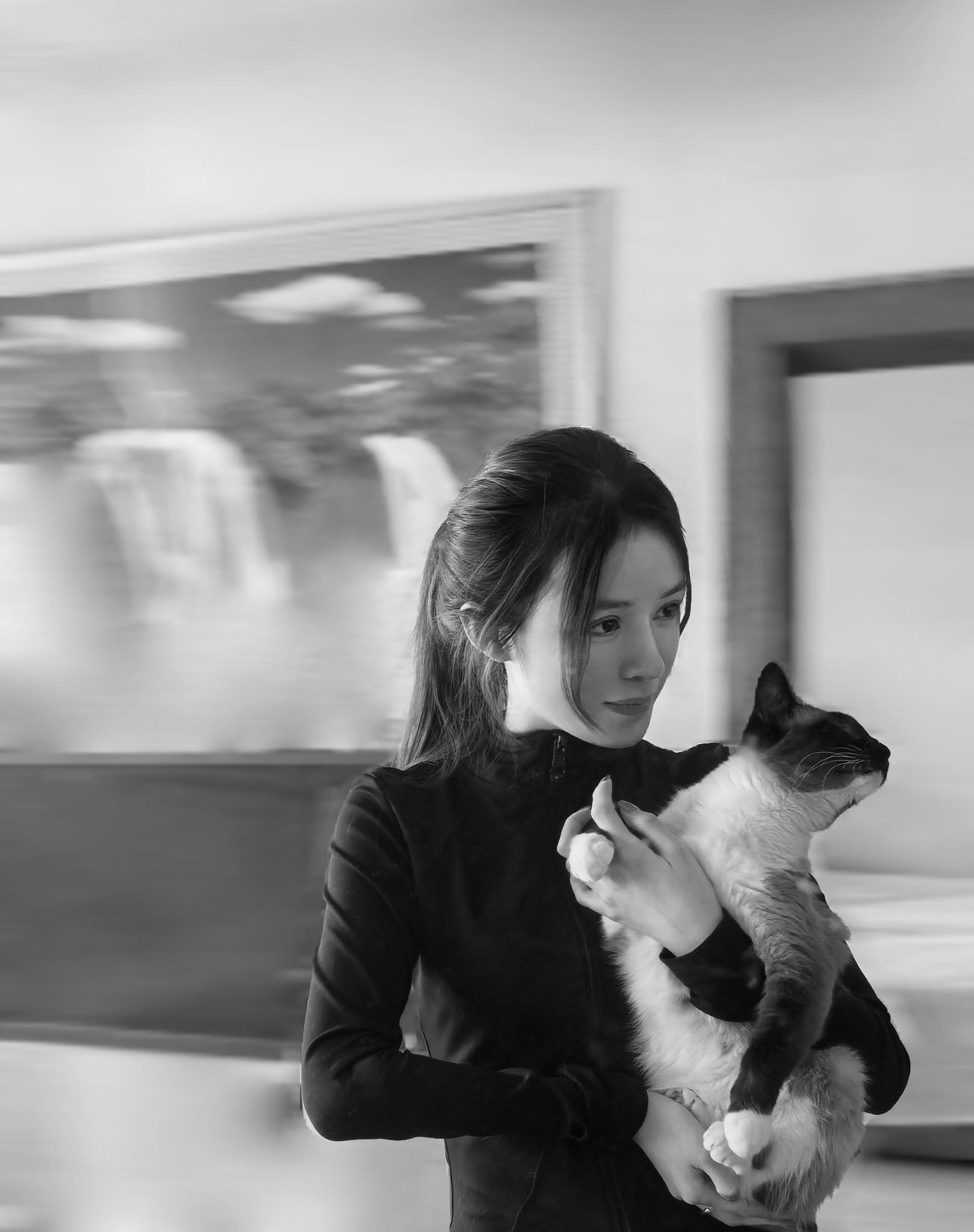 我以为，最美的日子，当是晨起侍花，闲来煮茶，阳光下打盹，细雨中漫步，夜...