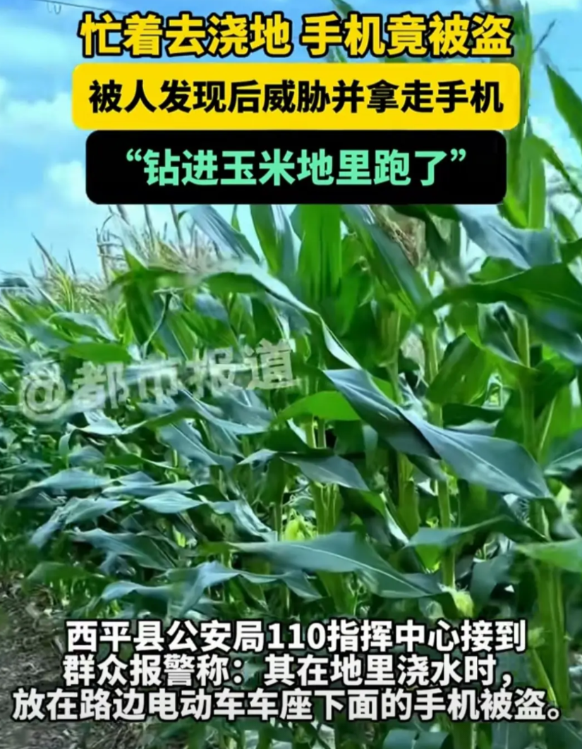 河南，男子姜某骑着电瓶车去浇地，因干活不方便，就随手将手机和钥匙放在电瓶车篓里，