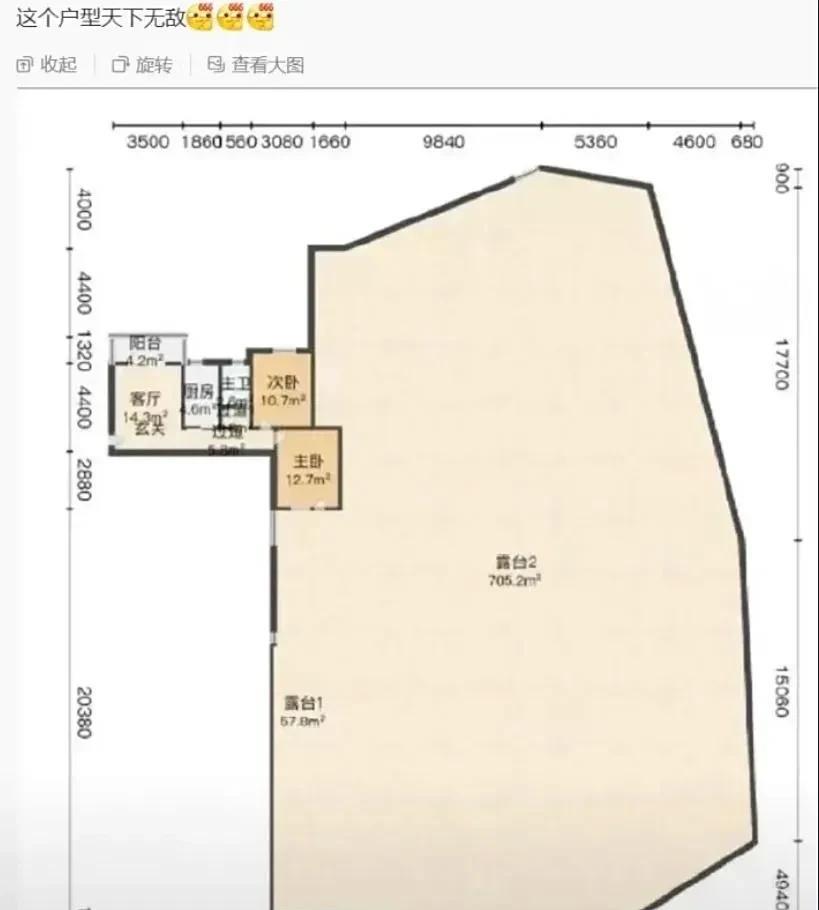 这个户型无敌了！