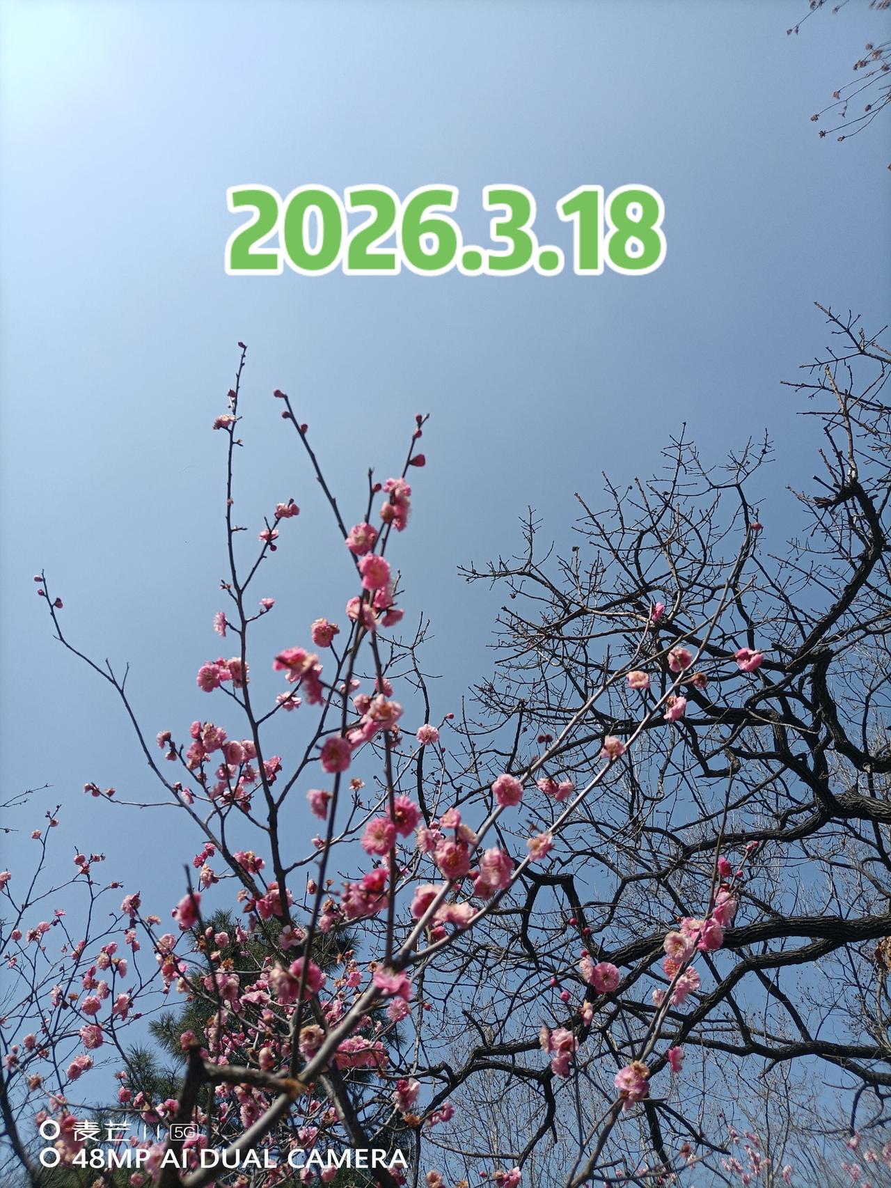 春自然摄影打卡我用摄影看世界