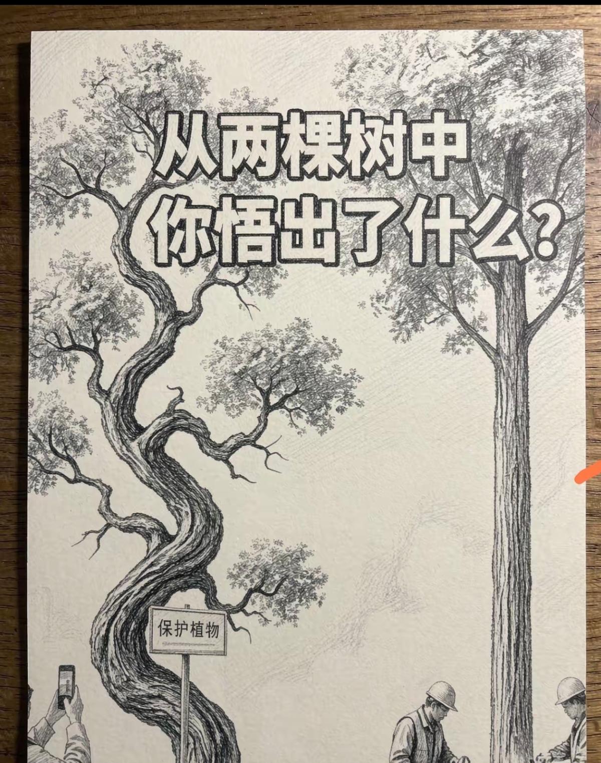 你悟出什么道理？
