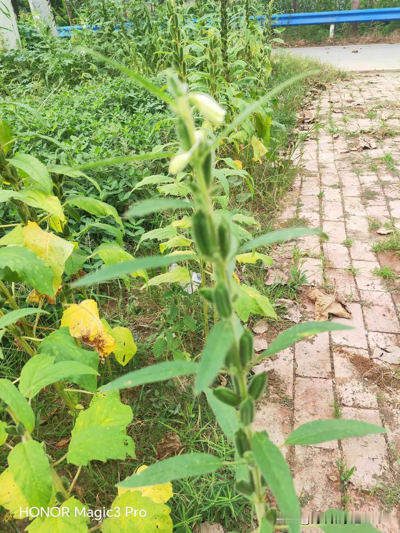 中考400多分能上什么高中?各地情况不一样，在我们县城只能上民办高中，有些民