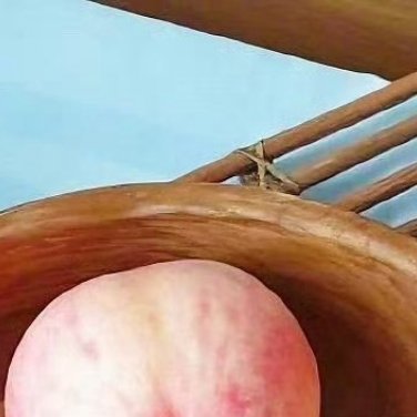 种植🍃种植文案桃子，以其鲜嫩多汁、香甜可口而深受人们喜爱。种植桃子不仅能让你
