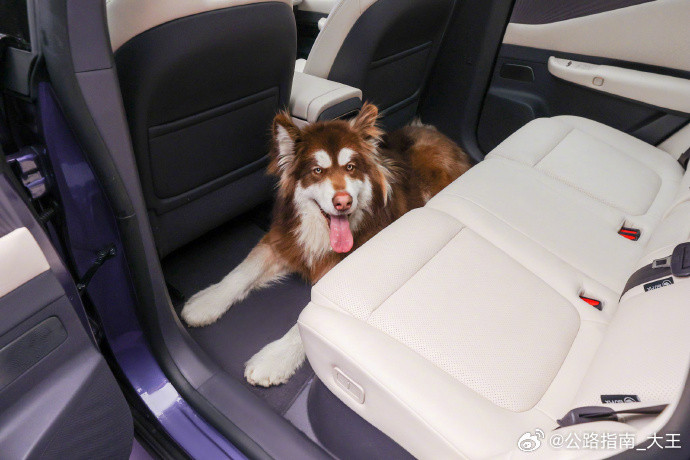 东风日产NX8，空间整活大赏后排顶榴莲——头部空间，想怎么顶就怎么顶；膝部摆上三