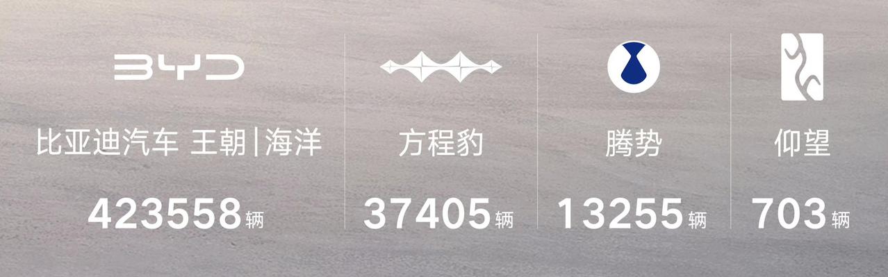 我有个同事买了两辆比亚迪海鸥上班通勤用！原本他已经买了一辆唐了，买海鸥就纯为了上