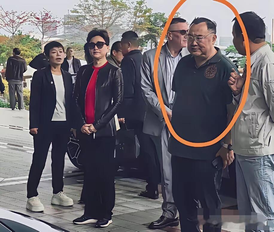 戴着眼镜都他，一脸凶相，长相比较普通，身材也不完美，怎么央视的大美女杨澜就嫁给了