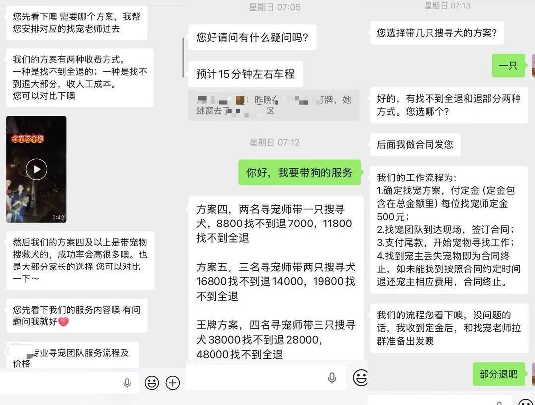 花8800元找猫却发现猫没丢，寻宠团队拒退尾款引发纠纷上海市