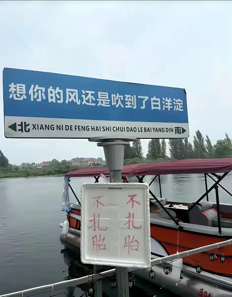 北洋淀终于还是选择了向游客“求饶”了，景区内很多地方都挂出了“不扎胎”的牌子。
