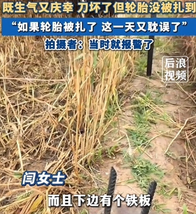 真是缺德坏透了！”近日，河北临漳，女子开收割机收麦，割到地中间时发现麦地里藏着尖