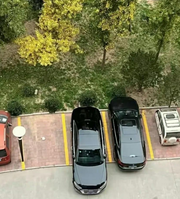 中国人爱面子的习惯，不知道引发了多少纠纷。就拿新能源汽车来说，大家伙都想要一辆