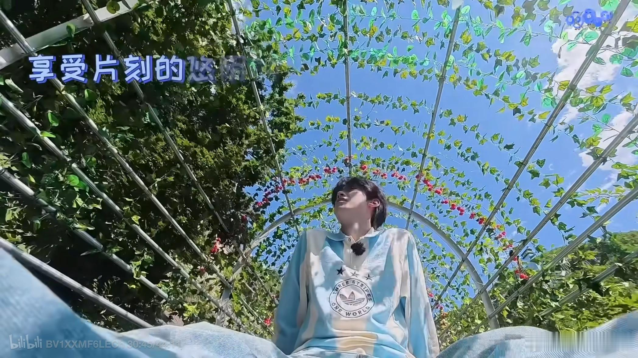 张嘴就是我的宵夜