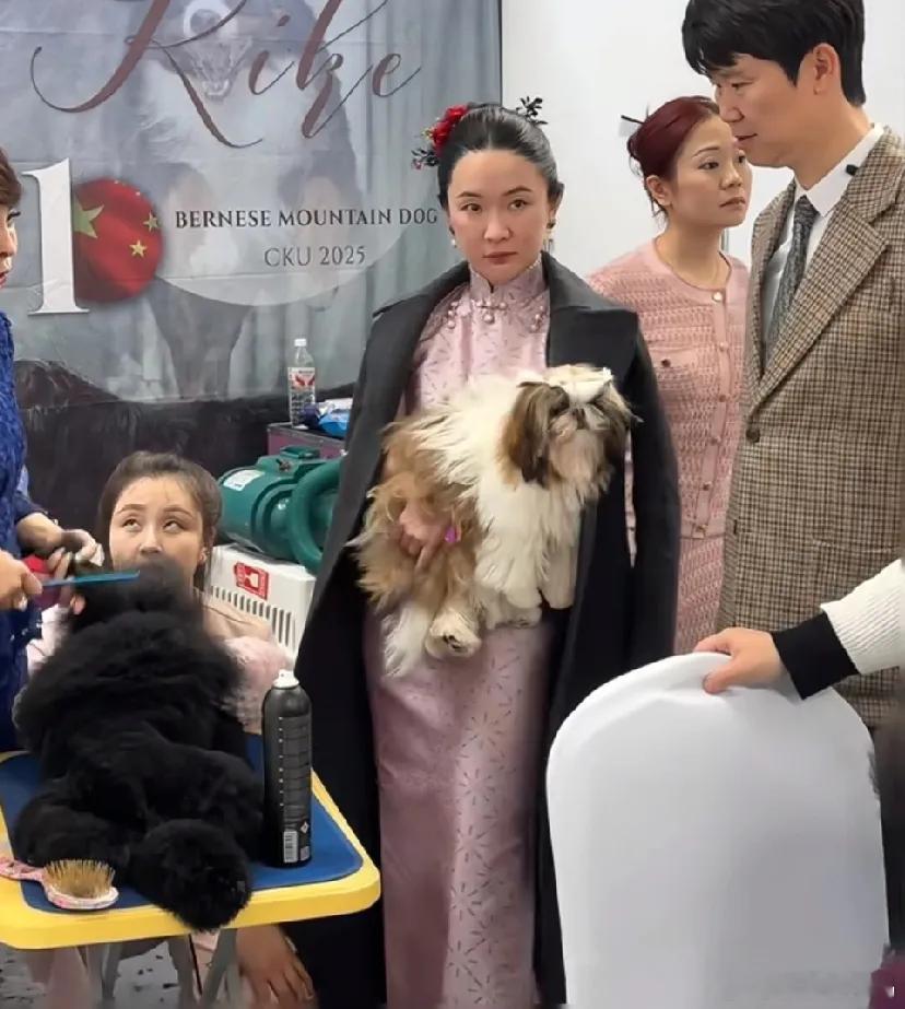 霍思燕是真把赛犬玩成专业级了！最近在青岛犬展被网友偶遇，连换两套旗袍，超重视；前