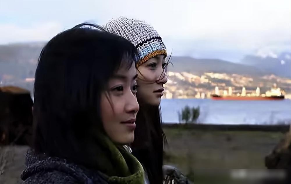 放弃央视铁饭碗的赵子琪，被一档综艺扒下了最后的底裤。全队845票赢了，她却被