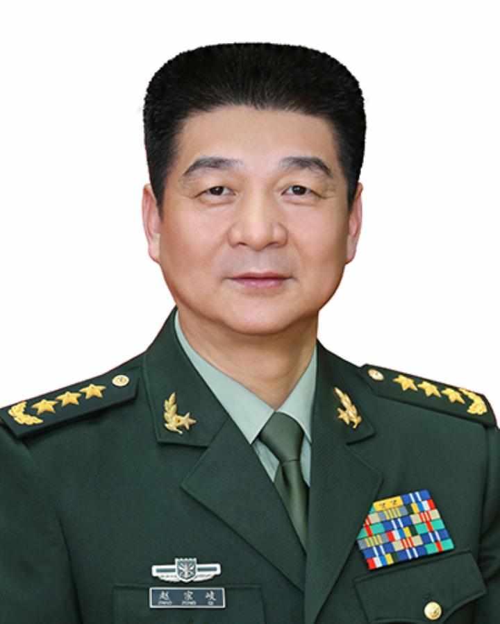 西部战区原司令员赵宗岐上将被撤销全国政协委员资格，引发多方强烈关注。全国政协十