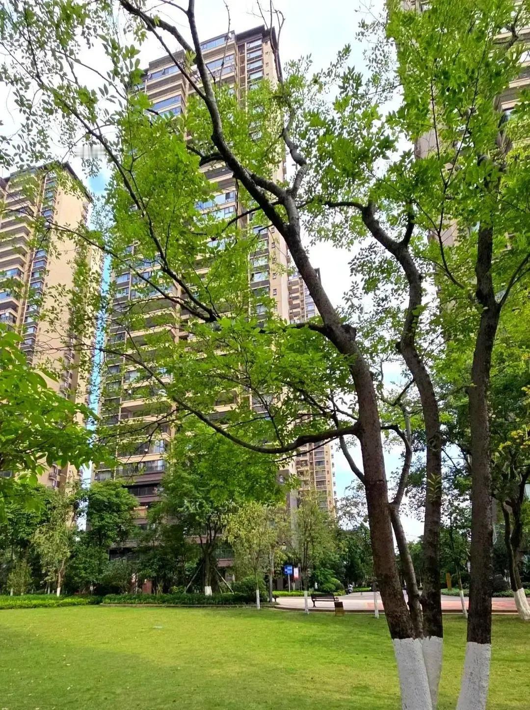 看房前说好102万，看完房房东直接改口105万，理由还是“别人涨我也涨”租客当场