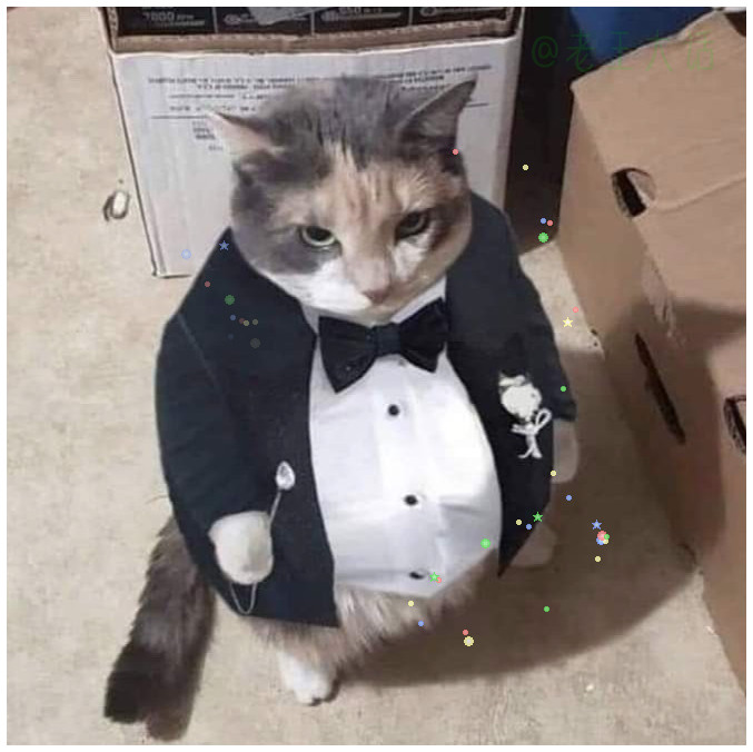 小猫的晚礼服，怎么看起来好像兴致不高呀