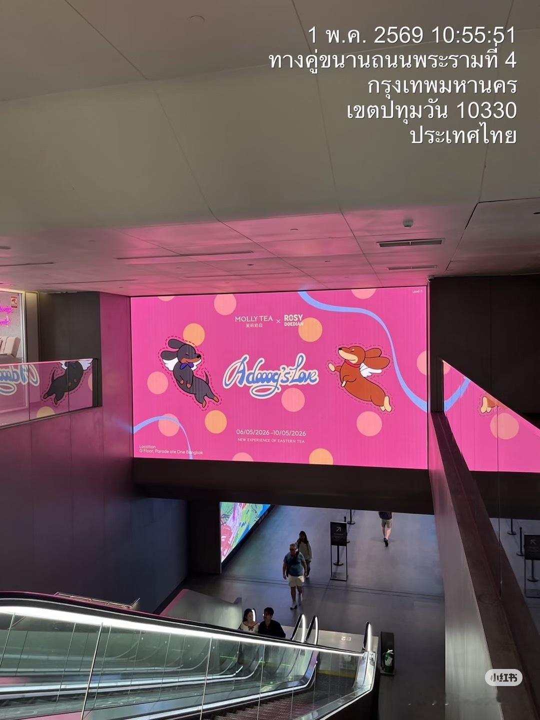 赵露思这两狗也是在🇹🇭有地广了