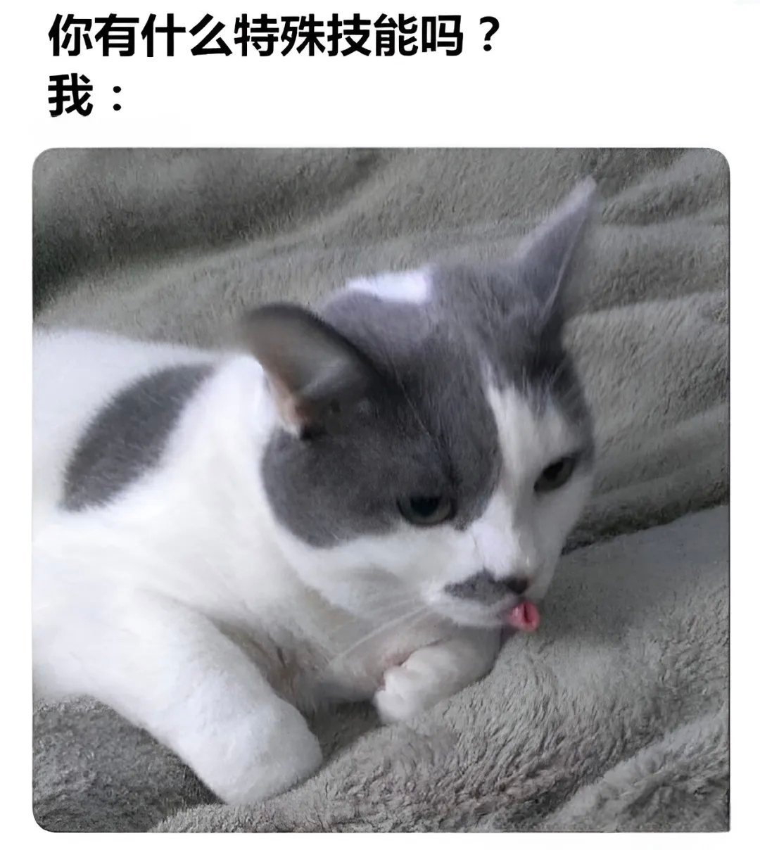 精通无中生有式的可爱猫meme​​​