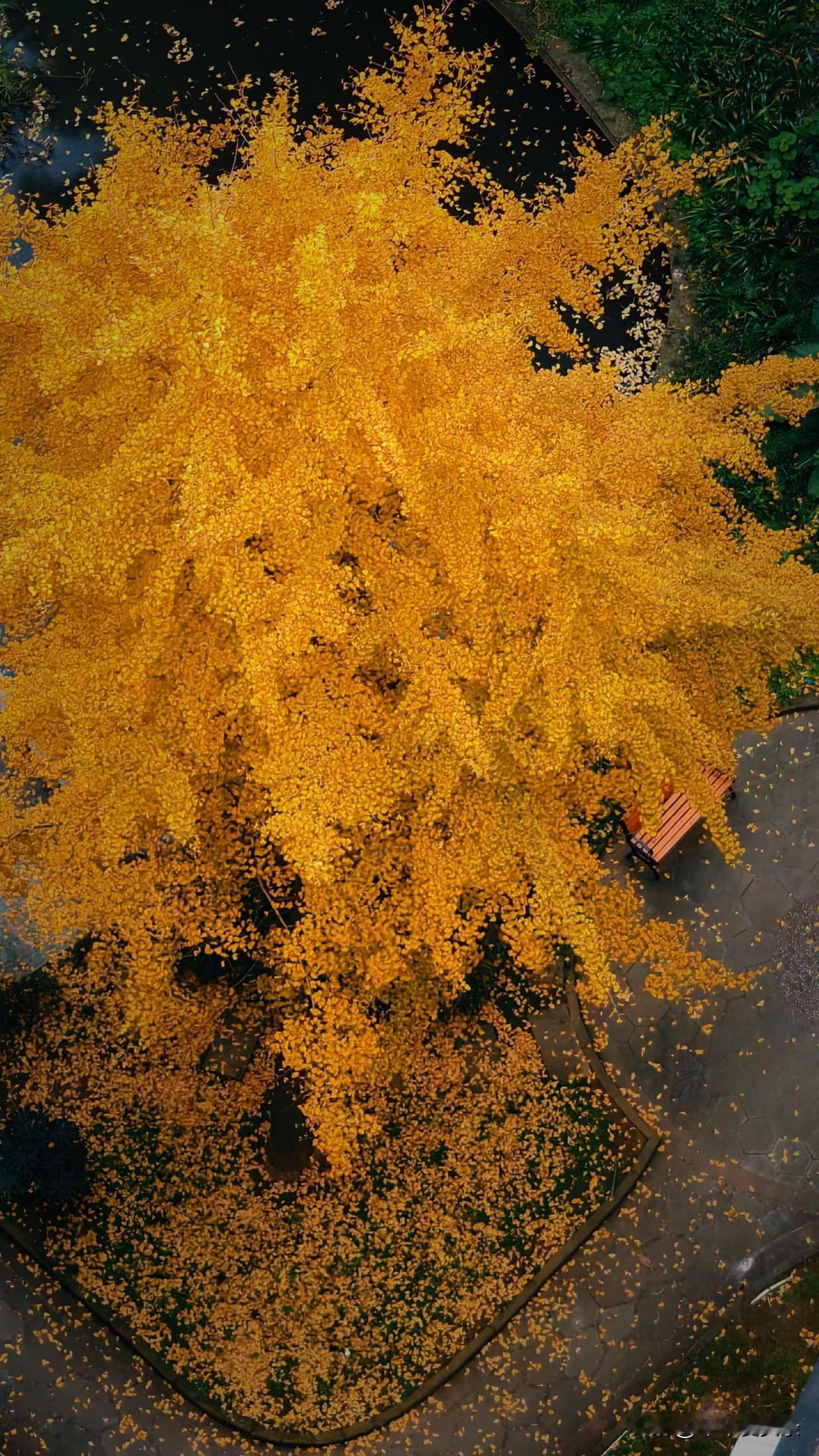 2026最想实现的一件事人民币追着我跑[呲牙笑][呲牙笑][呲牙笑][呲牙笑][呲牙笑][