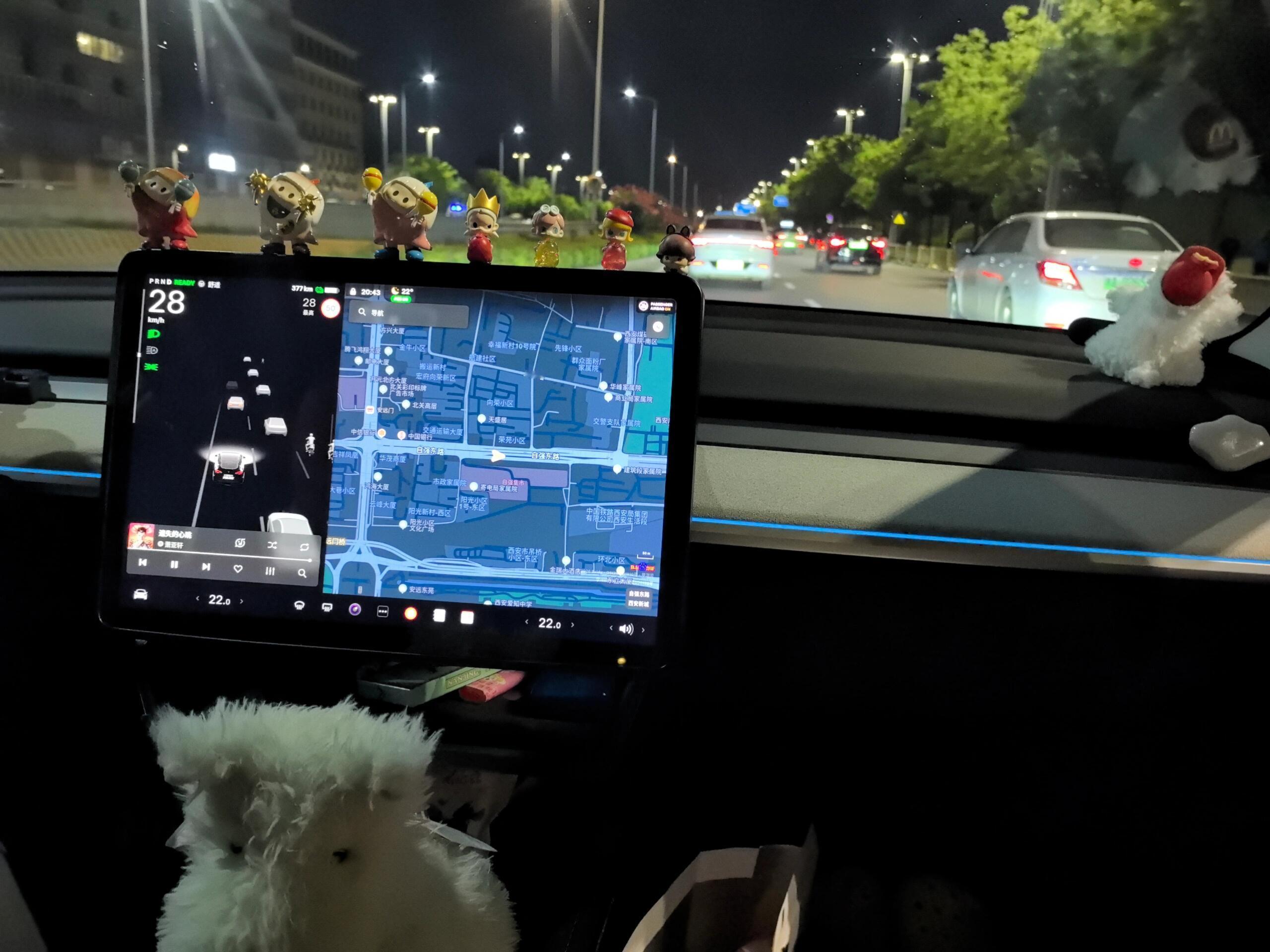 疲惫生活里的解药，姐妹的副驾，姐妹的泡泡玛特。姐妹的好吃的