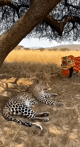 AI，这个绝对是AI。