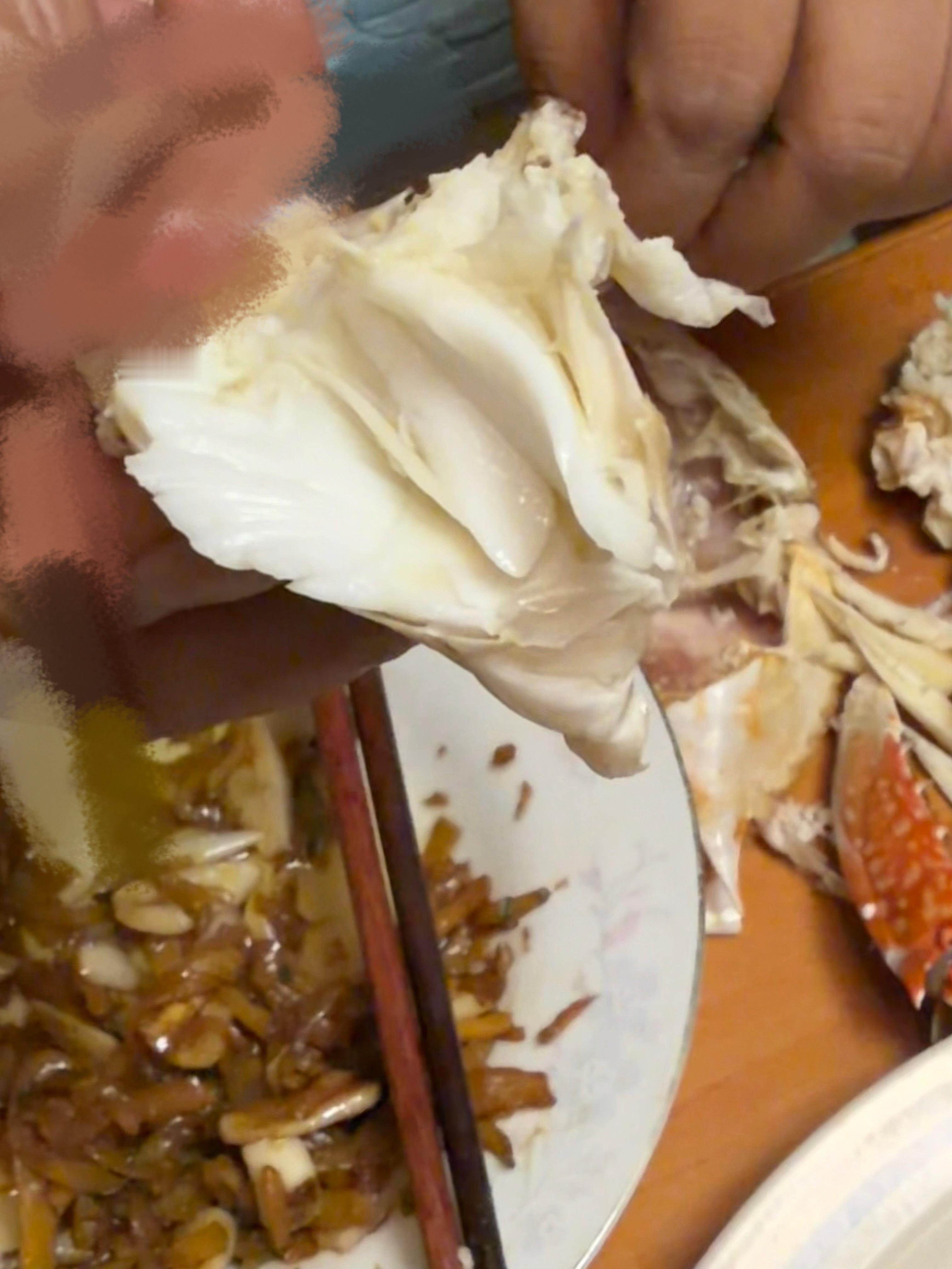 开海的第一锅梭子蟹。。好肉好香[哭哭]​​​