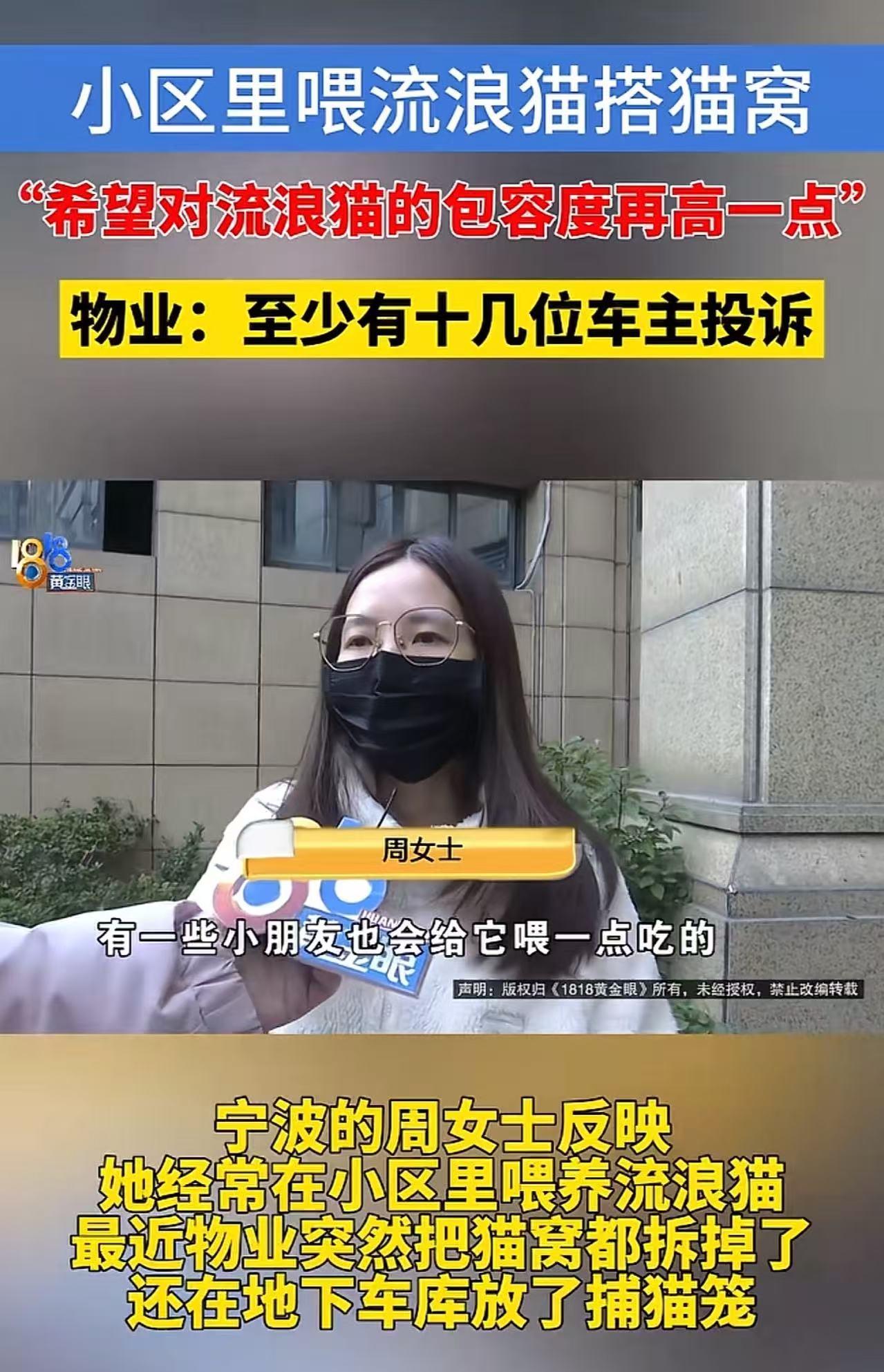 浙江宁波，女子在小区里喂养流浪猫，还搭了猫窝，其他邻居受不了，向物业投诉，于是物