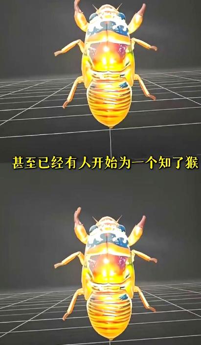 山东抓知了猴的这批人最近估计快要崩溃了，他们千算万算，也没算到能碰上科技感拉满的