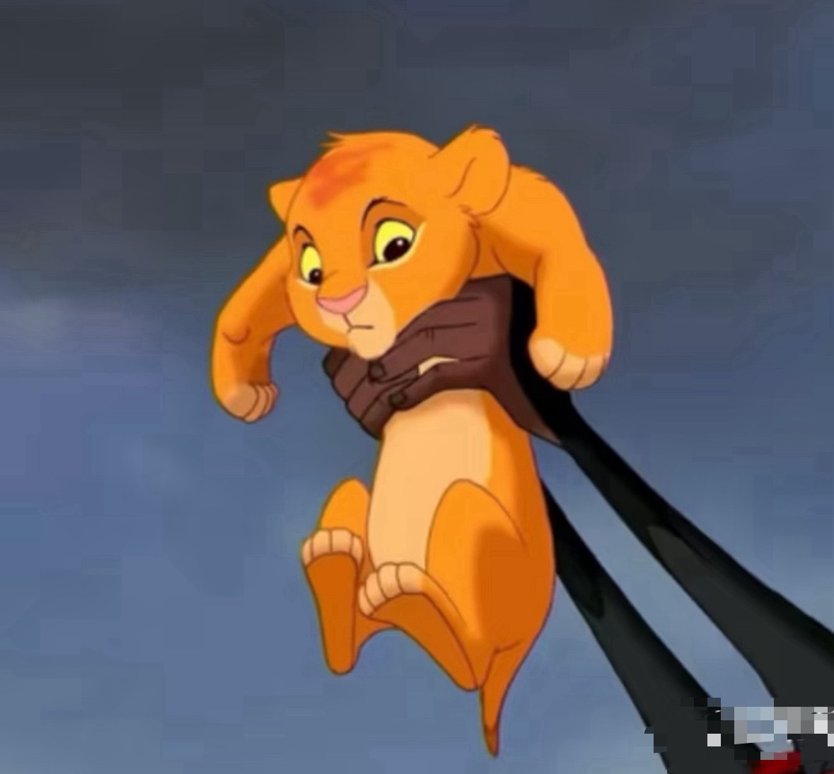 司机师傅：终于啊！！终于有人把猫猫扔我车上了！！司机还有一个小时就有猫了