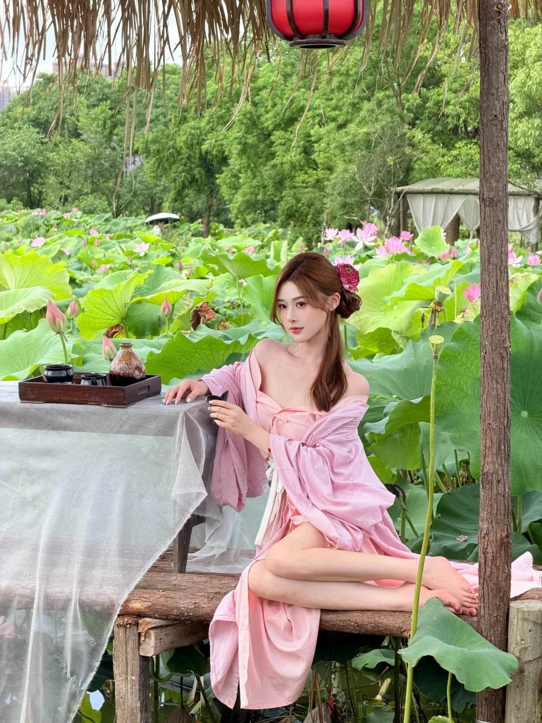 夏天怎么能不拍荷花📸（live图～）