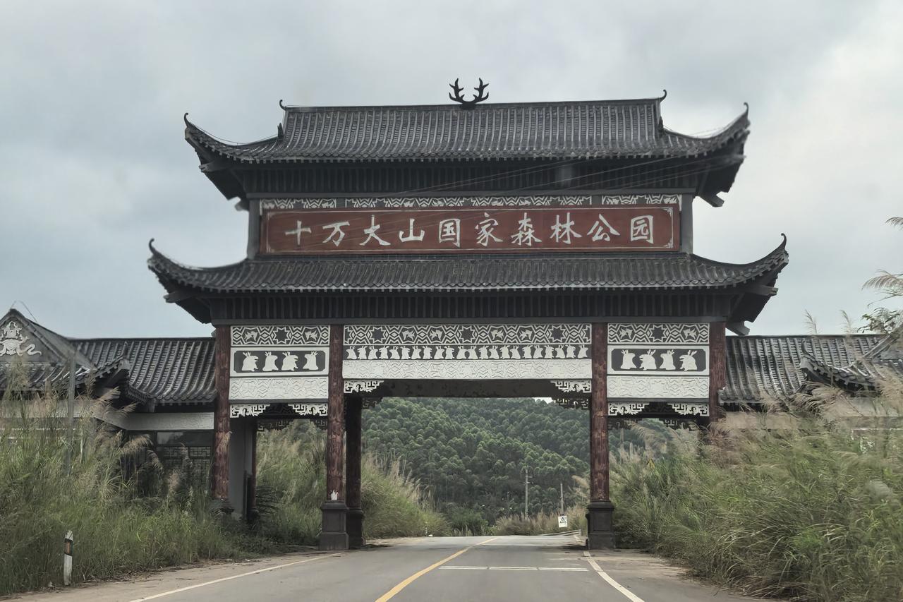 在广西十万大山，把自己还给山林｜穿过古色古香的山门，一头扎进这片绿意里。溪水流过