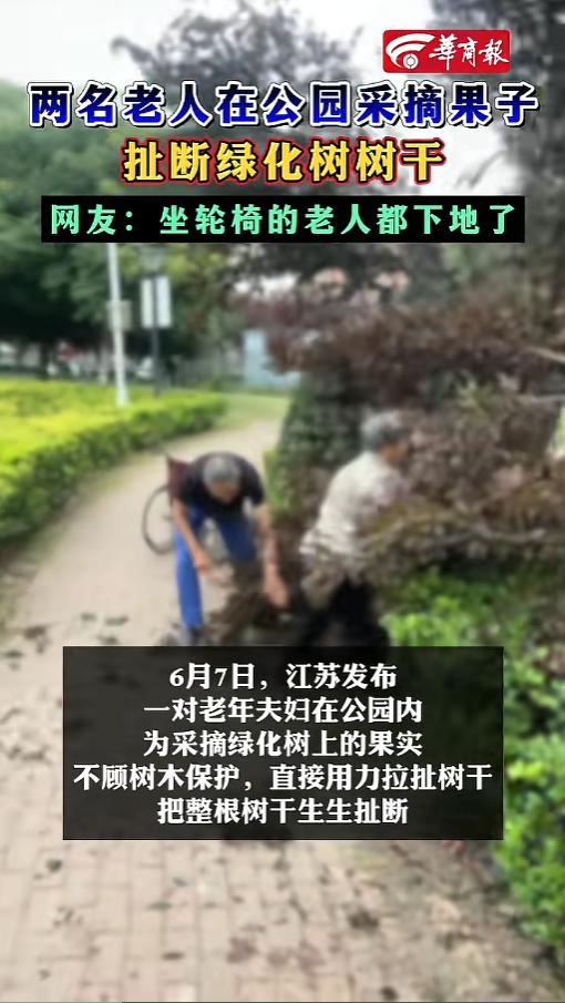 “简直是神丹妙药！”6月7日，江苏，两位老人在公园遛弯，一个还坐着轮椅呢。他们在