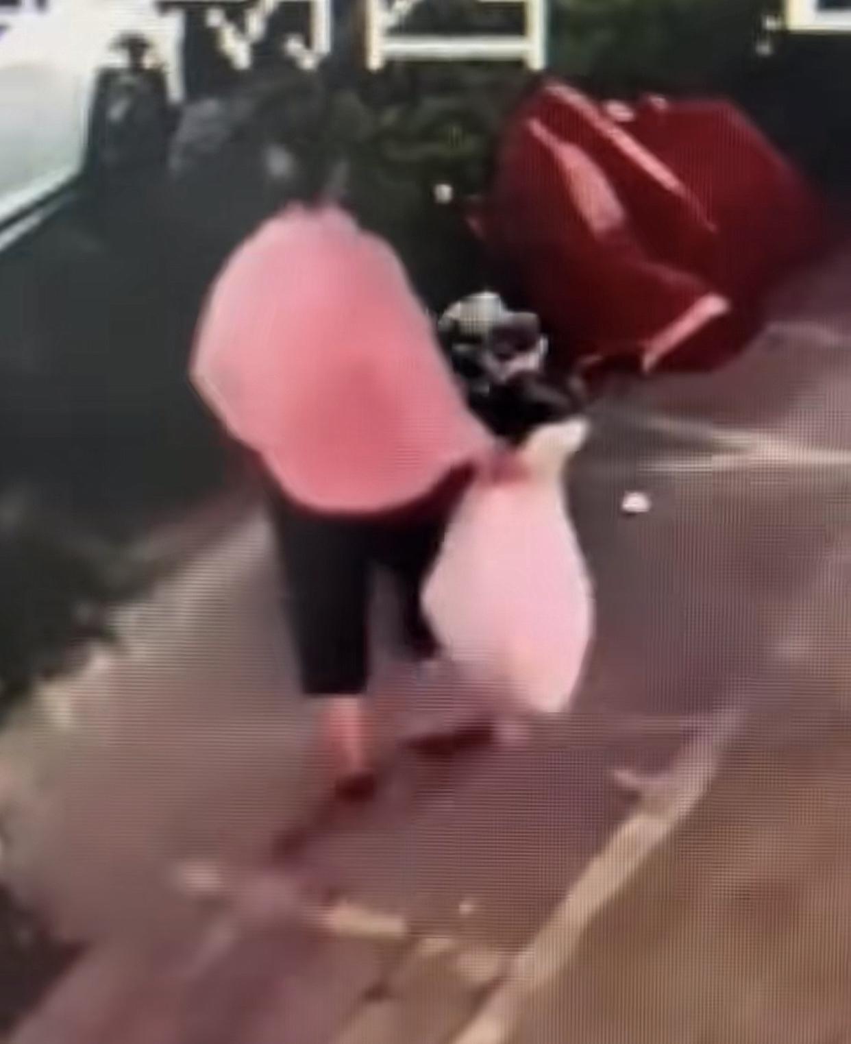 广西柳州，一名女子下班回家发现路边垃圾桶旁边放着一个纸盒！出于好奇，捡起一看，吓