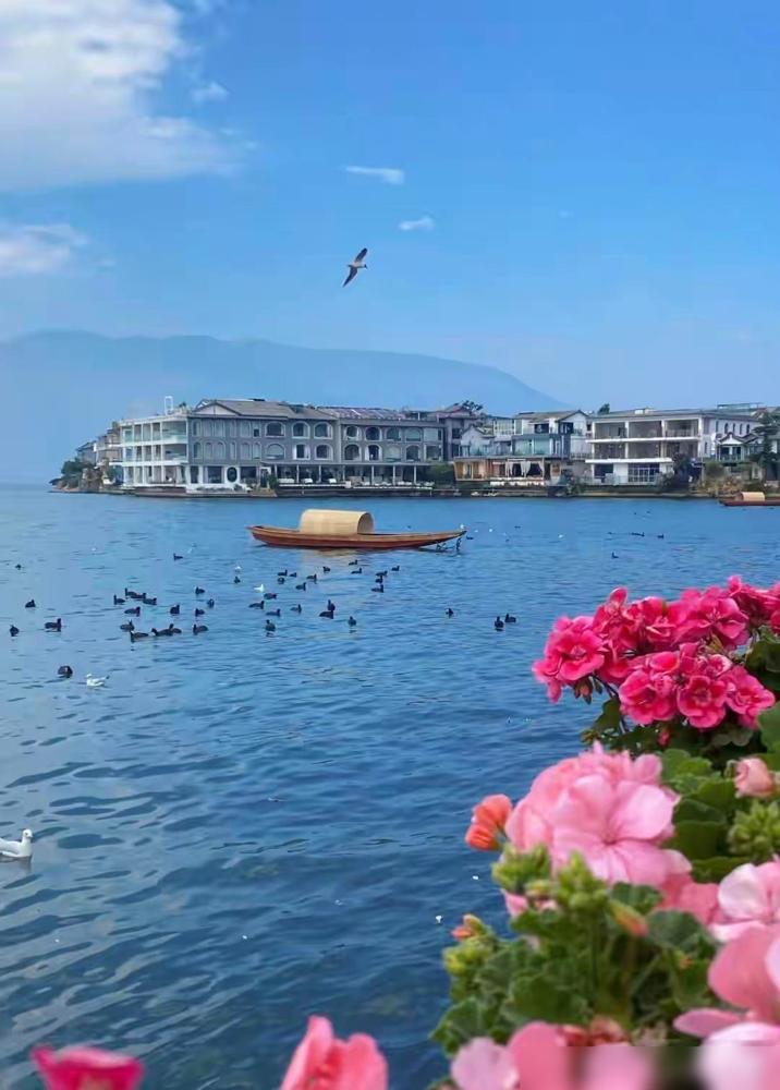 我妈退休第一年跟团去了趟云南，回来跟我说：“比上班还累。”前两年带我家俩老人