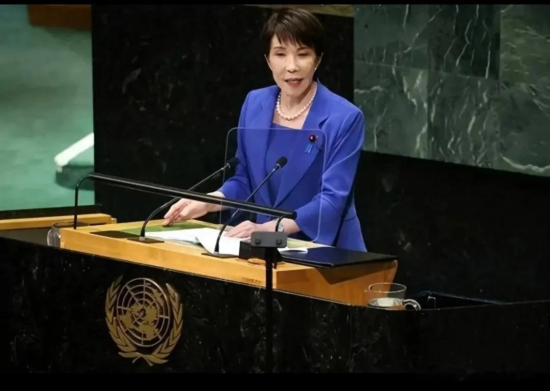 中国曾于1995年（平成7年）在联合国大会上投下赞成票，支持一项明确指出联合国宪