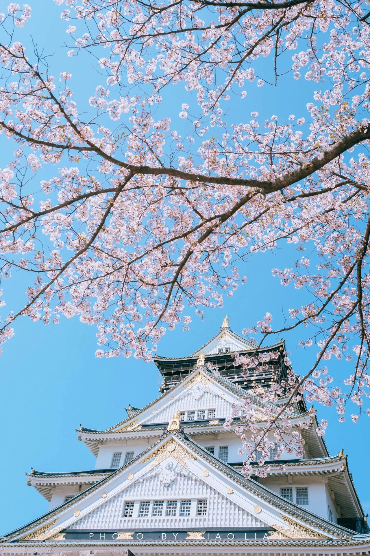 谁能想到，日本接连对华挑衅，各方议论纷纷，联合国秘书长却从头至尾一声不吭。老