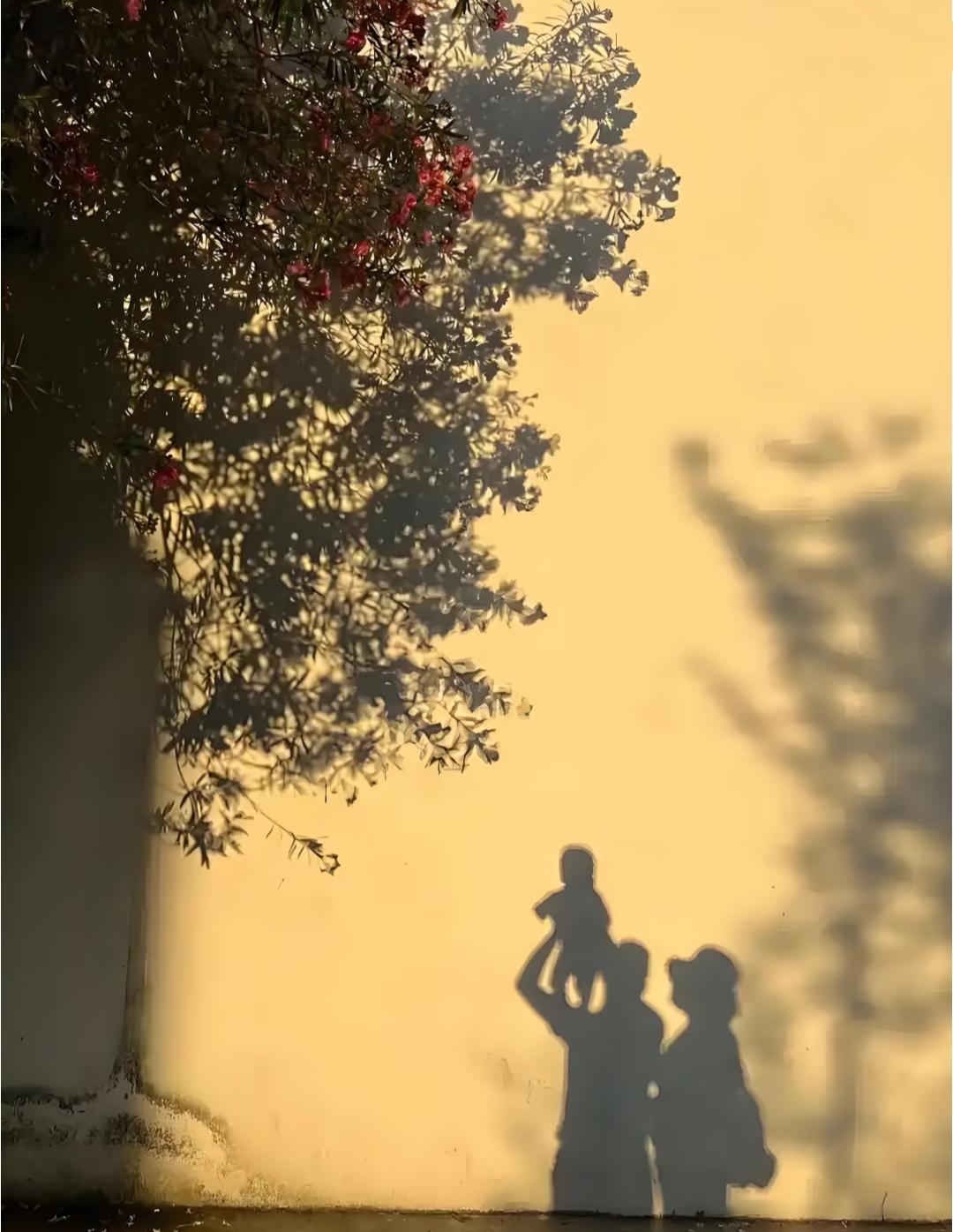 我发现一个奇怪的现象大多数的父母平时自己不舍得吃不舍得喝，一顿菜恨不得热三遍