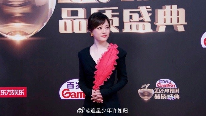 孙俪这一抹红羽太抢眼了那一抹红羽像是故意落在那儿的，恰到好处地打破了黑色的沉闷