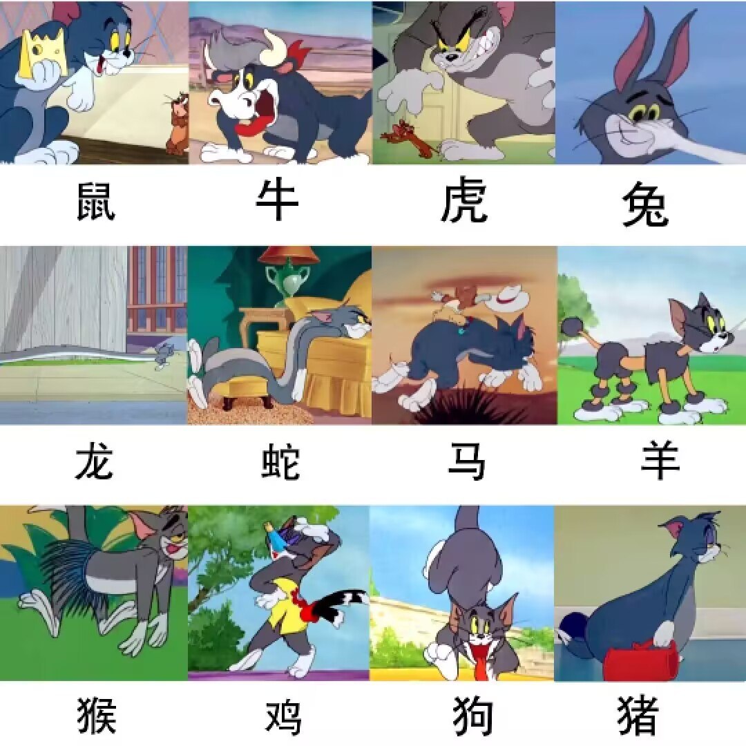 猫和老鼠还是太全能了